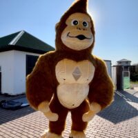 Пневмофигуры аниматоры