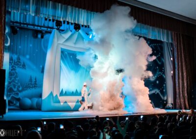 Снежное королевство